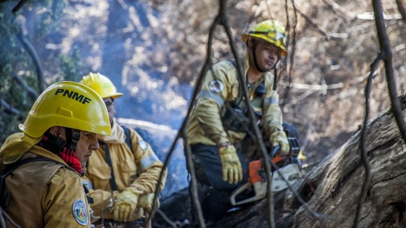 Destacada labor de los brigadistas en la Patagonia