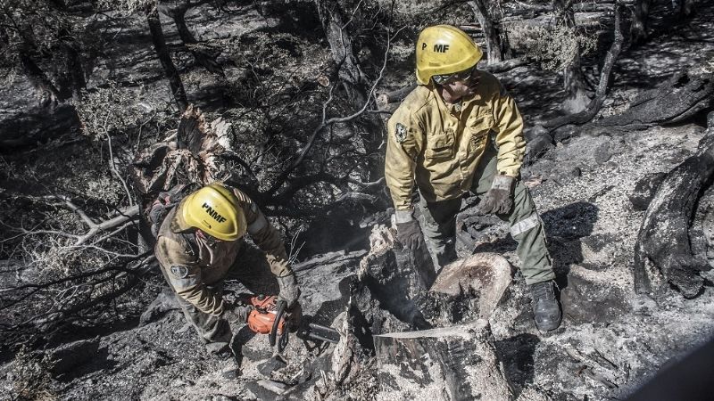 Destacada labor de los brigadistas en la Patagonia