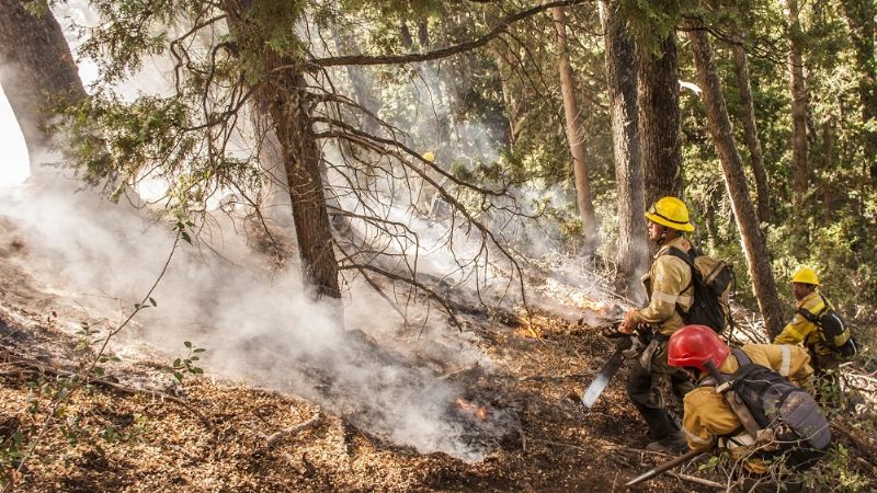 Destacada labor de los brigadistas en la Patagonia
