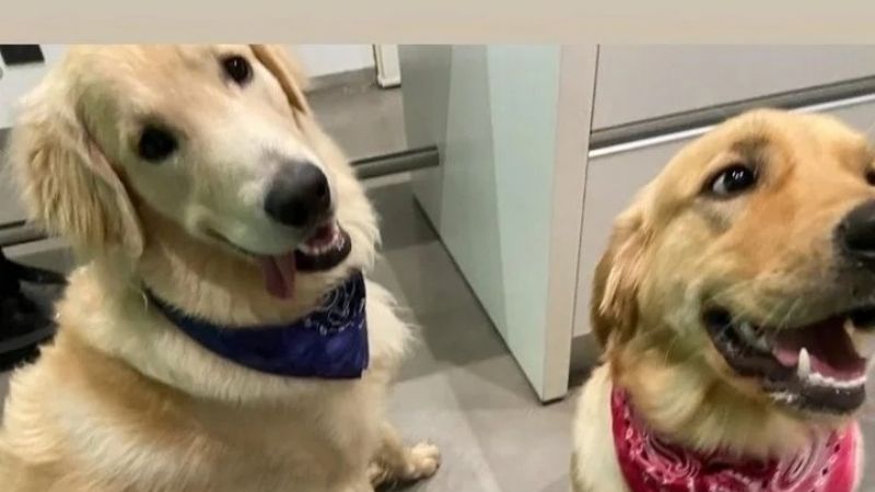 Las “señas” de Enzo Fernández para volver a River