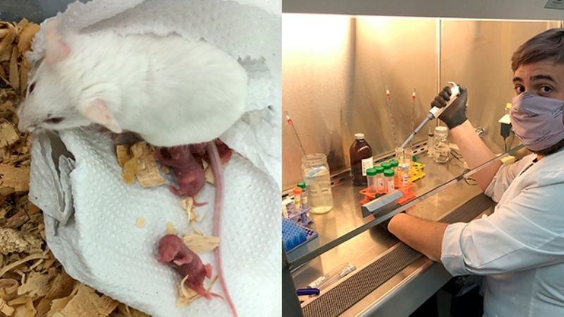 Comprueban que el estrés durante el embarazo aumenta los casos de asma