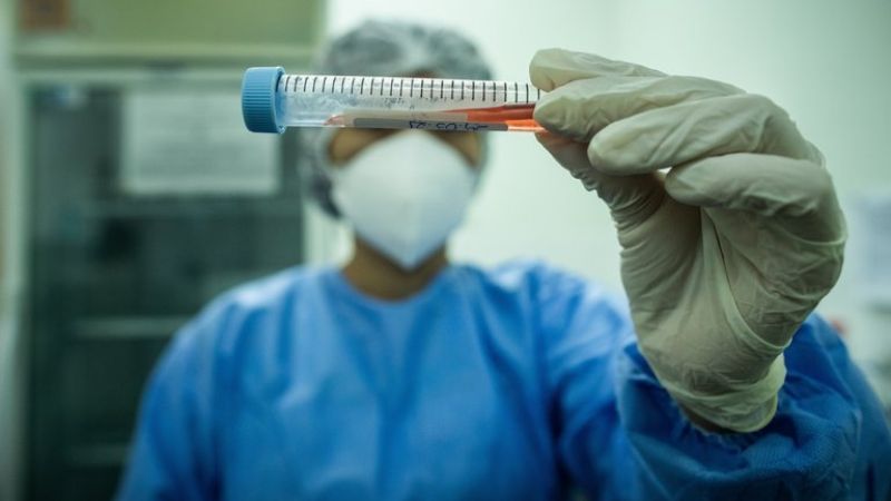 Detectaron por primera vez las variantes de la India y Sudáfrica en la Argentina