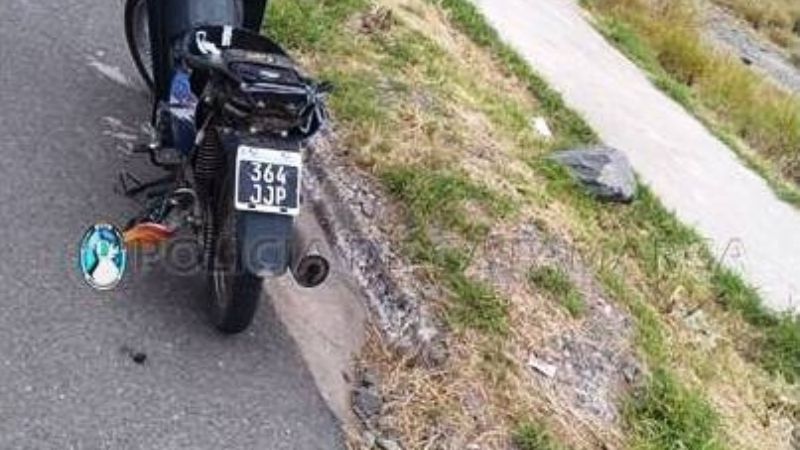 Embistió a un perro y terminó lesionada