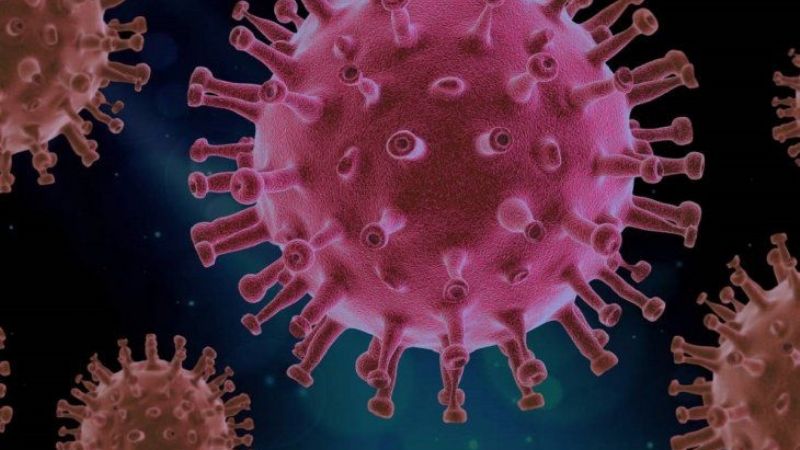 Estudio advierte que la inmunidad podría durar meses o incluso años