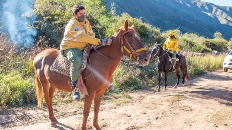 Tareas preventivas antes del inicio de la temporada alta de incendios