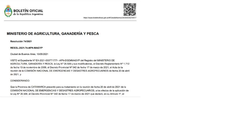 Declararon la Emergencia Agropecuaria para el sector olivícola catamarqueño