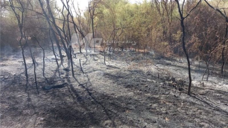 Incendio de gran magnitud en Fiambalá