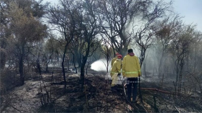 Incendio de gran magnitud en Fiambalá