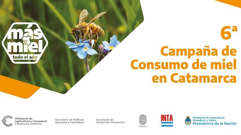 Arranca la campaña “Más miel todo el año”