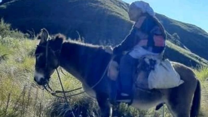 Mujer viajó varias horas en mula para vacunarse