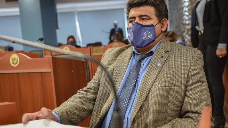 Abogadas argumentan la ilegalidad del proyecto que avala la riña de gallos