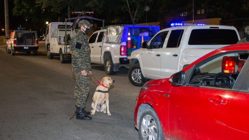 Alto acatamiento social a las medidas dispuestas
