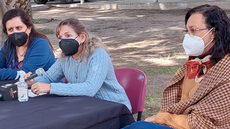 Palladino: “La solución es disminuir la progresión de casos”