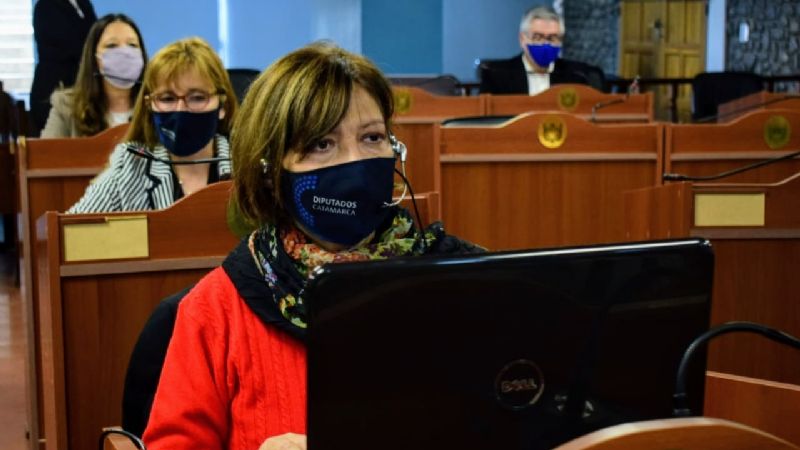 Piden establecer la semana de concientización por la Violencia Obstétrica