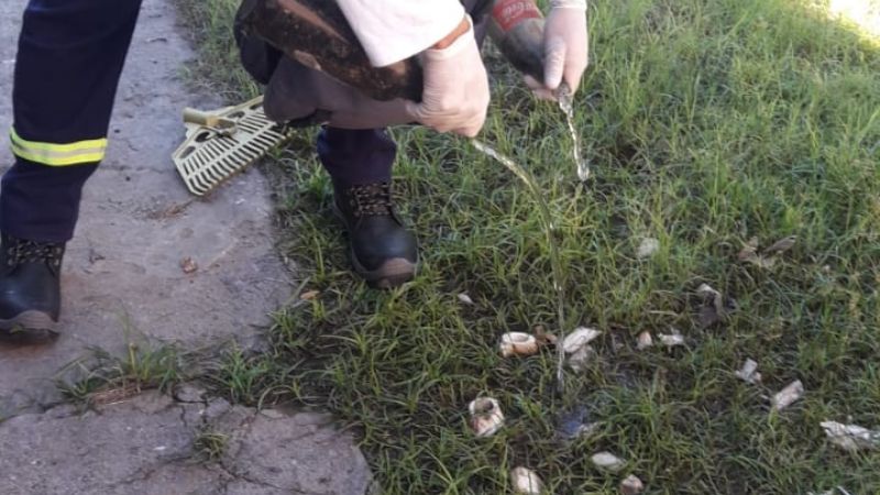 Continúan las acciones para prevenir el dengue