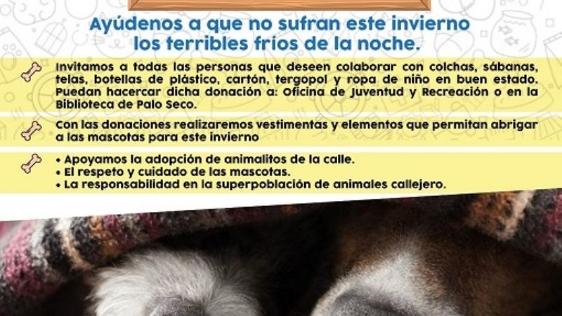 Campaña Patitas Abrigadas