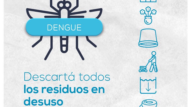 Aprovechar las bajas temperaturas para eliminar futuros criaderos