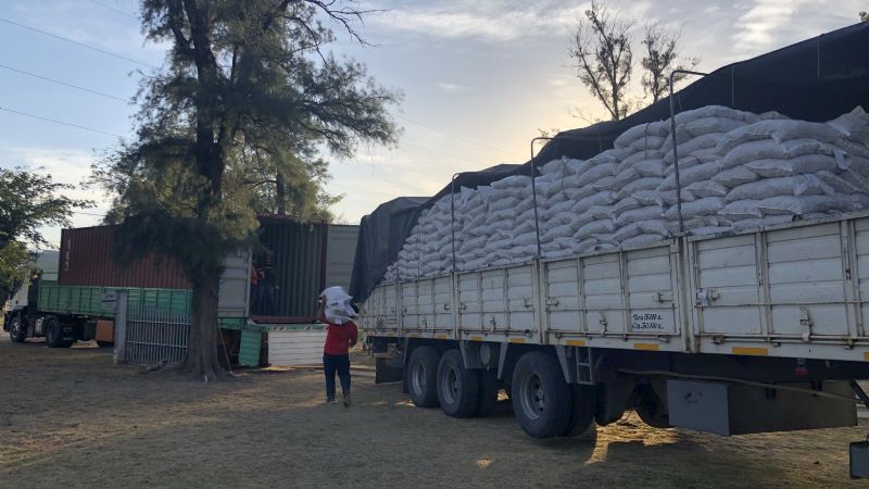 Nueva exportación de nueces de Pozo de Piedra a Italia