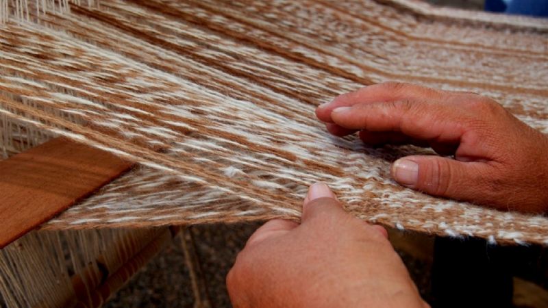 Más de 1000 catamarqueños beneficiados con el programa “Cultura Solidaria”