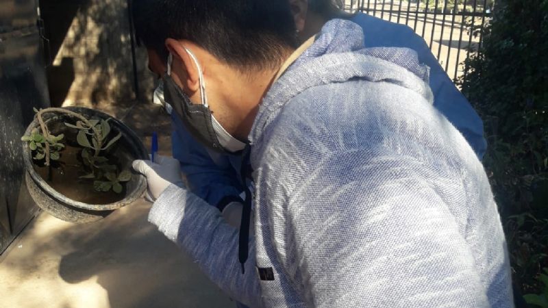 Se detectó el primer caso de dengue en la provincia