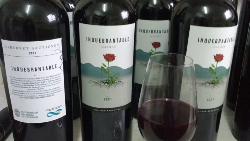 Investigadora presentó vinos elaborados a base de bacterias