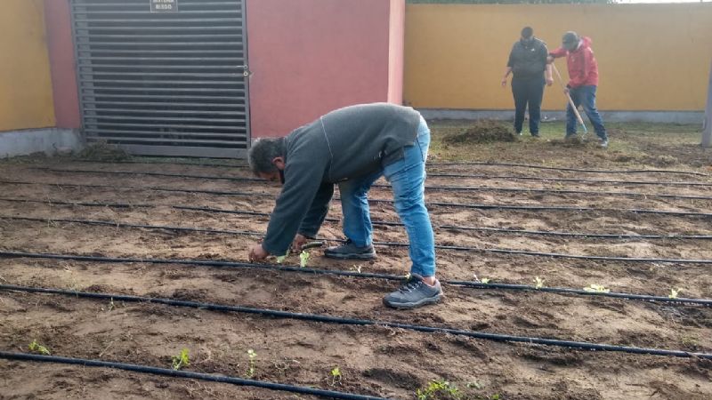 Extensión Rural instaló huerta educativa en el Hogar Warmi