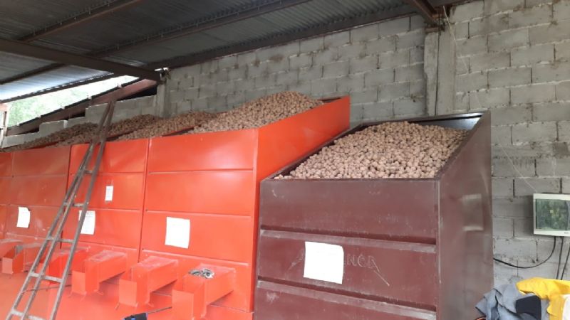 Hay un 90% de mano de obra local en las cosechas