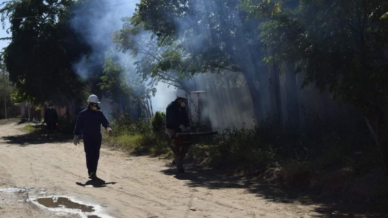 Fuerte operativo de fumigación y bloqueo en barrios de Recreo