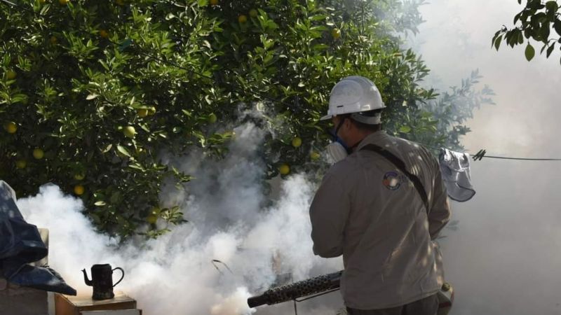 Fuerte operativo de fumigación y bloqueo en barrios de Recreo