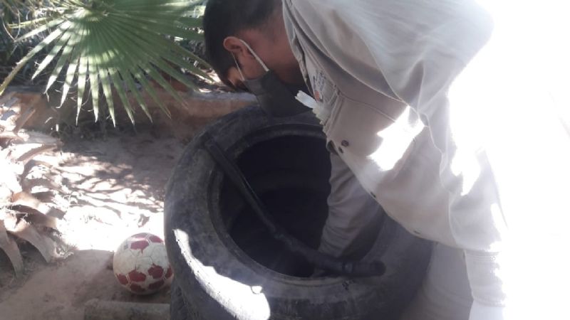 Ante el primer caso de dengue, insisten en continuar con las medidas de prevención