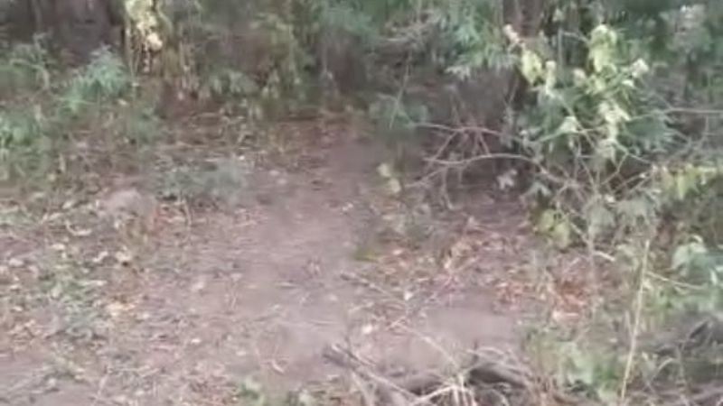 Vecinos en alerta, niños en peligro