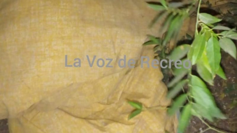 Vecinos en alerta, niños en peligro