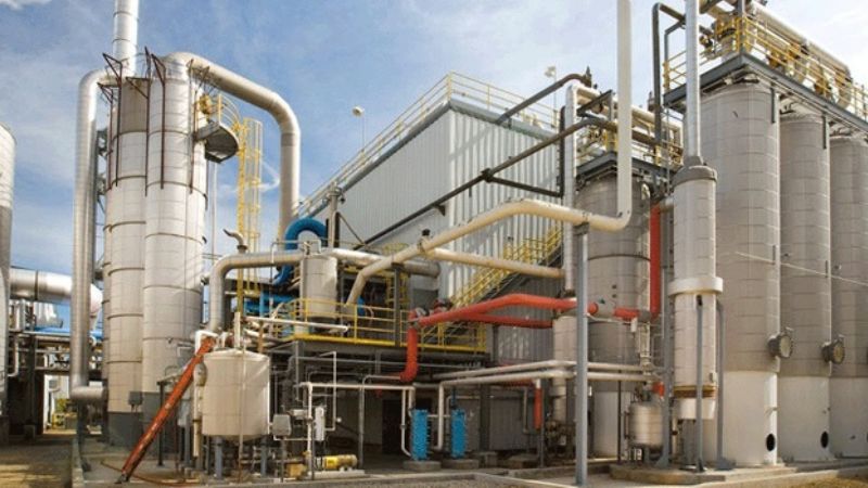 Biocombustibles: qué son y cómo impactan en el ambiente