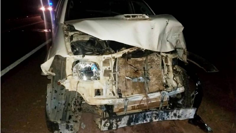 Vehículo oficial de Fiambalá protagonizó un siniestro por animales sueltos