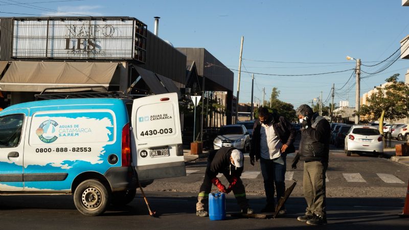 Incorporan enzimas para el mantenimiento del sistema cloacal