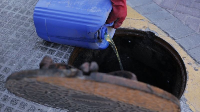 Incorporan enzimas para el mantenimiento del sistema cloacal