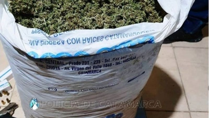 Detienen a un hombre, secuestran armas de fuego e incautan gran cantidad de droga