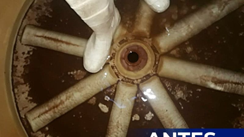 Establecimientos educativos reforzaron tareas de limpieza y desinfección