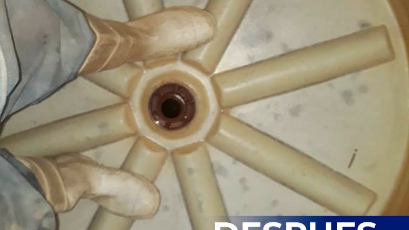 Establecimientos educativos reforzaron tareas de limpieza y desinfección