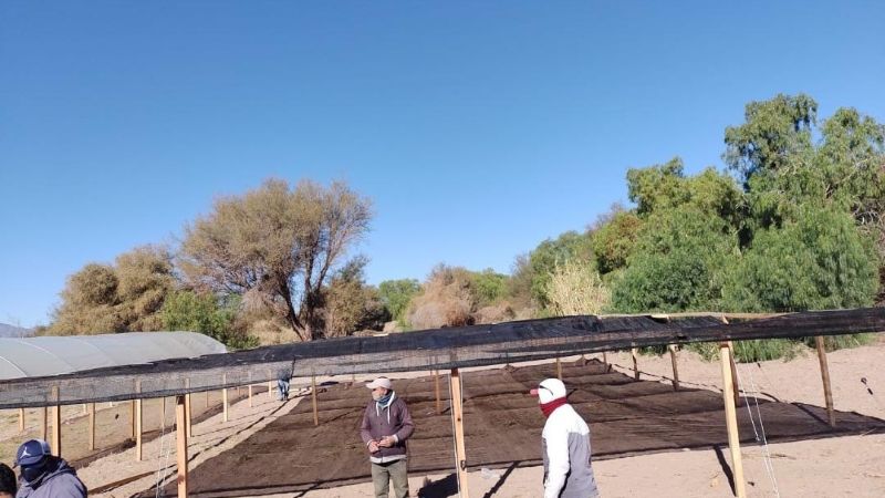 Se instalaron viveros en Fiambalá