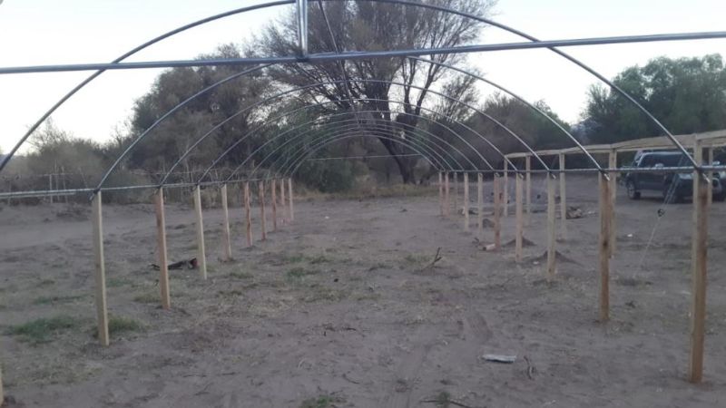 Se instalaron viveros en Fiambalá