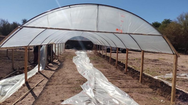 Se instalaron viveros en Fiambalá