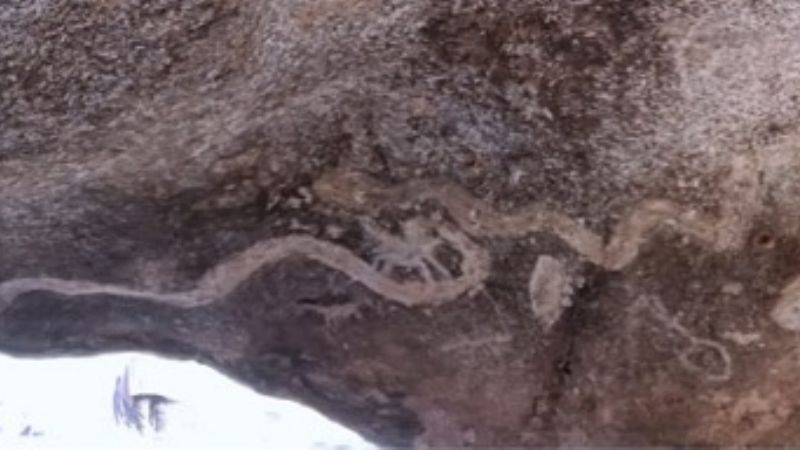 Ante una denuncia de posible daño al Patrimonio Arqueológico