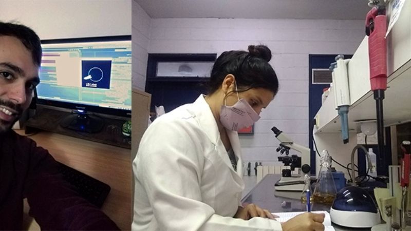 Buscan controlar los daños neurocognitivos generados por la toxoplasmosis