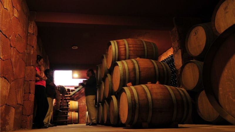 Vinos y volcanes de Catamarca se presentaron en Chile