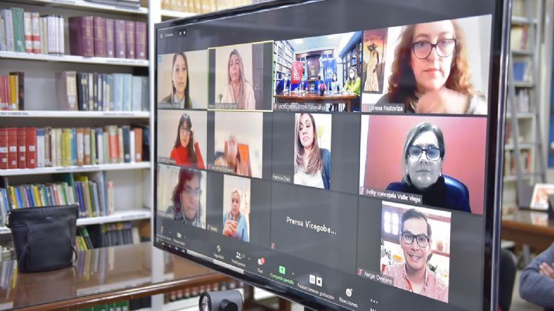 Senadores trabajan con referentes en Género sobre una Ley de Emergencia