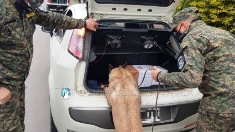 Clandestina, secuestros de vehículos, notificaciones y más