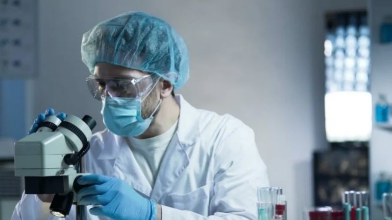 Las teorías sobre el origen de la pandemia enfrentan a la comunidad científica