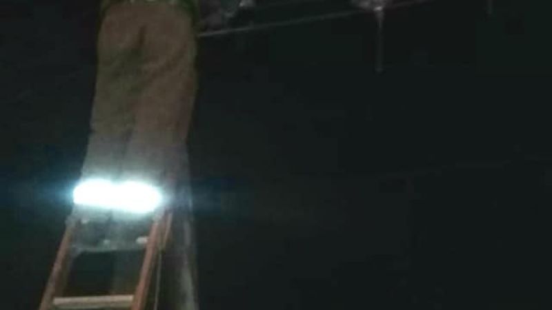 Se cayó un árbol y barrios de Tinogasta quedaron sin luz