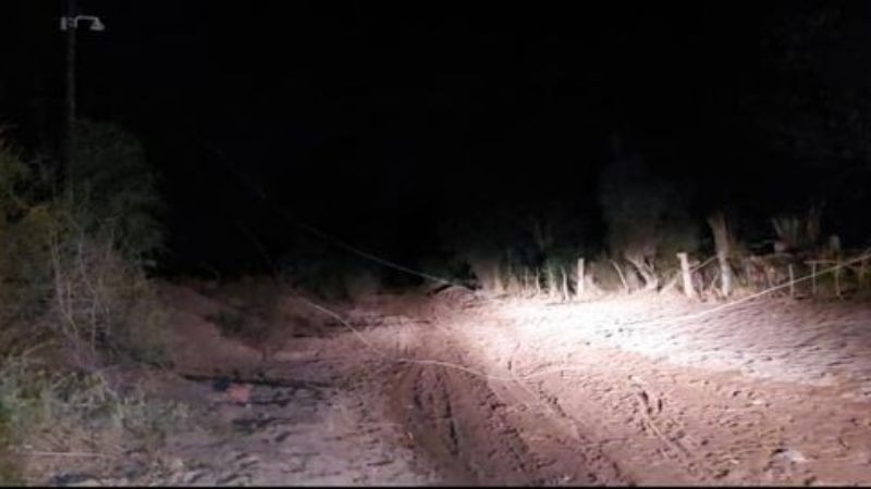 Se cayó un árbol y barrios de Tinogasta quedaron sin luz
